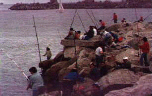 chabones pescando (51K)